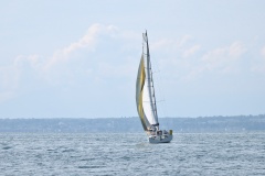 dsc_2202