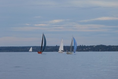 img7464