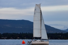 img7499