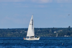 x3_7313